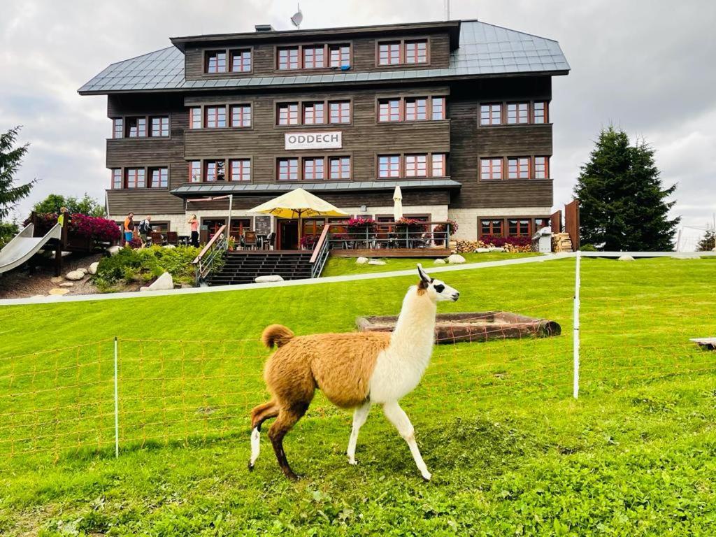 Hotel Oddech Pec pod Sněžkou Eksteriør bilde