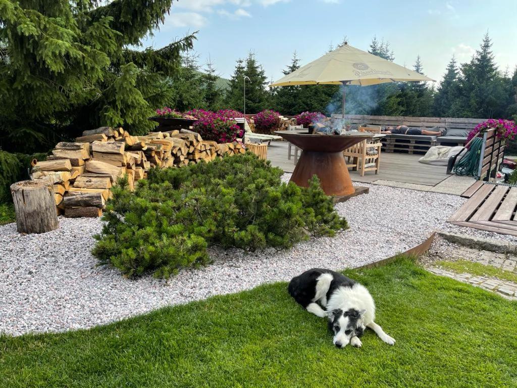 Hotel Oddech Pec pod Sněžkou Eksteriør bilde