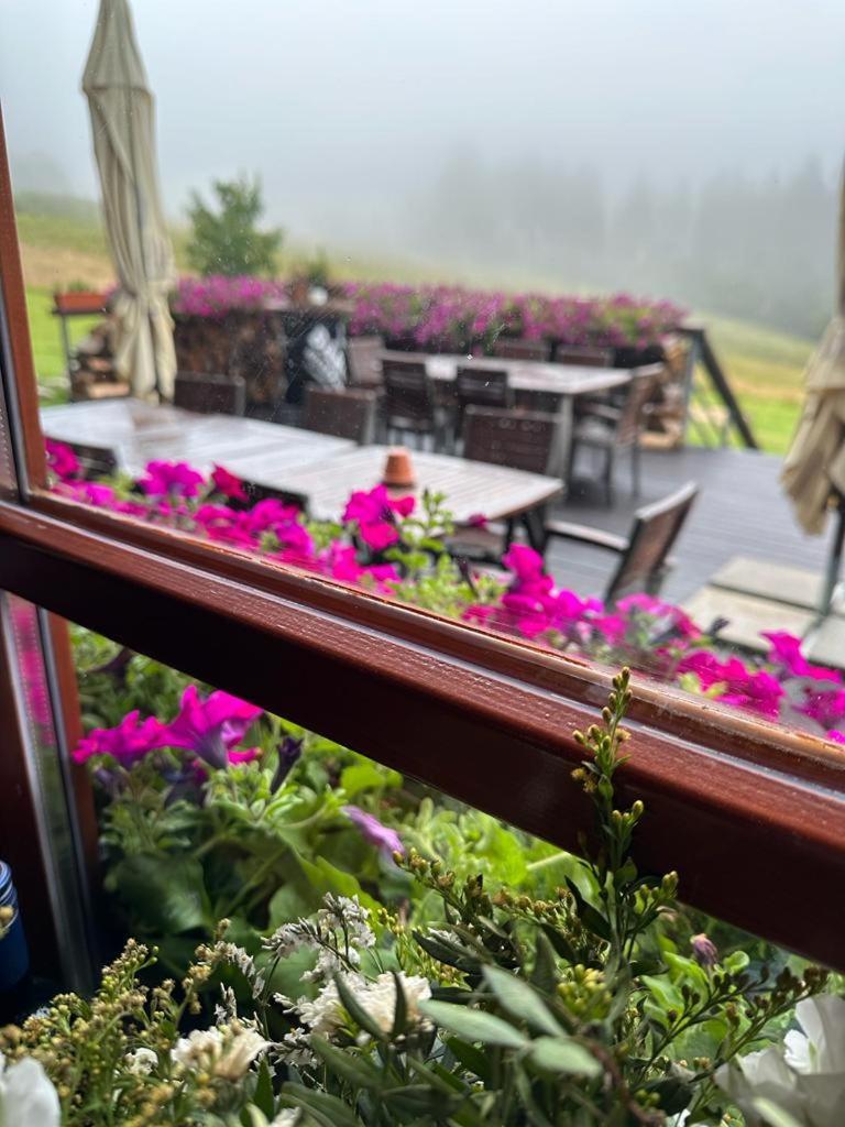 Hotel Oddech Pec pod Sněžkou Eksteriør bilde